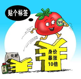 认证花钱就能买 有机食品市场乱象调查